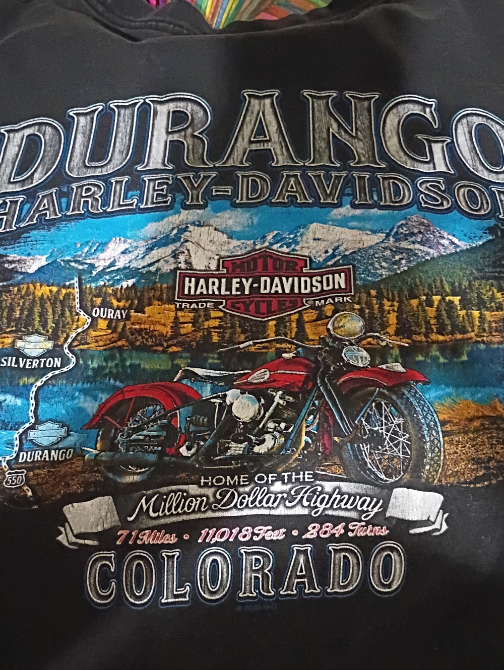 Harley Davidson Durango CO. T Shirt Vintage 3XL Speed Power